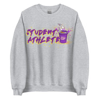 Student Athlete Iowa Crewneck