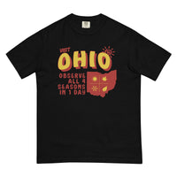 Visit Ohio Comfort T