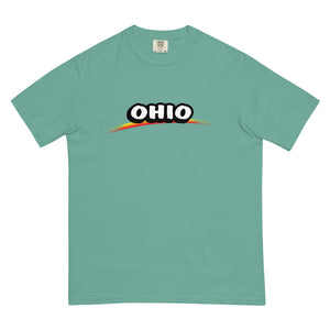 Ohio SBM Comfort T